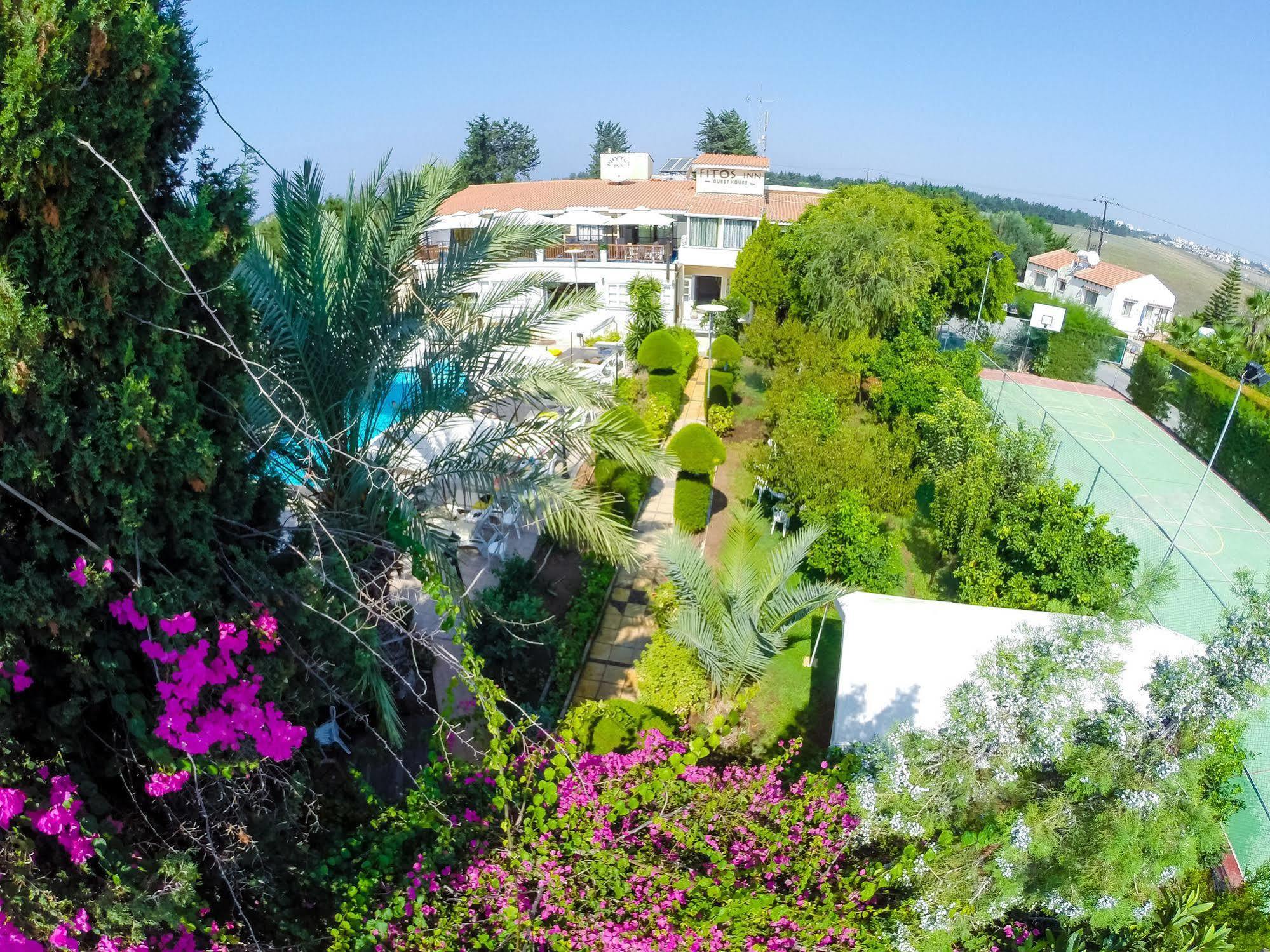 Paphos Fitosinn Hotel מראה חיצוני תמונה